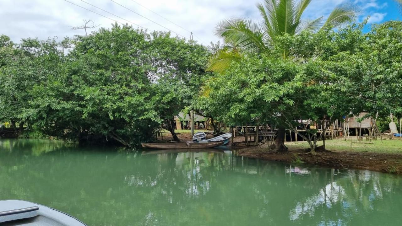 Hotel Bahia Yubarta Bahia Solano Eksteriør billede