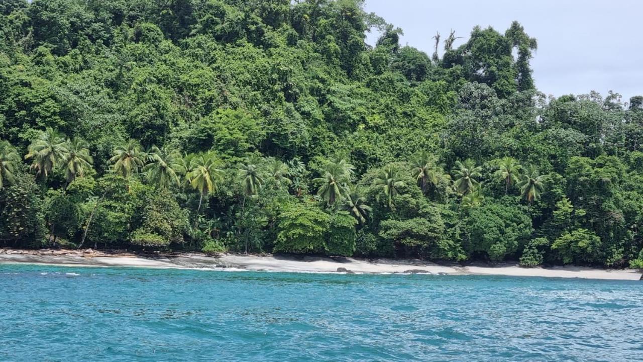 Hotel Bahia Yubarta Bahia Solano Eksteriør billede